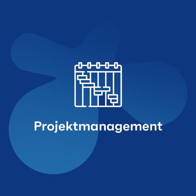 Unternehmensbereich – Projektmanagement