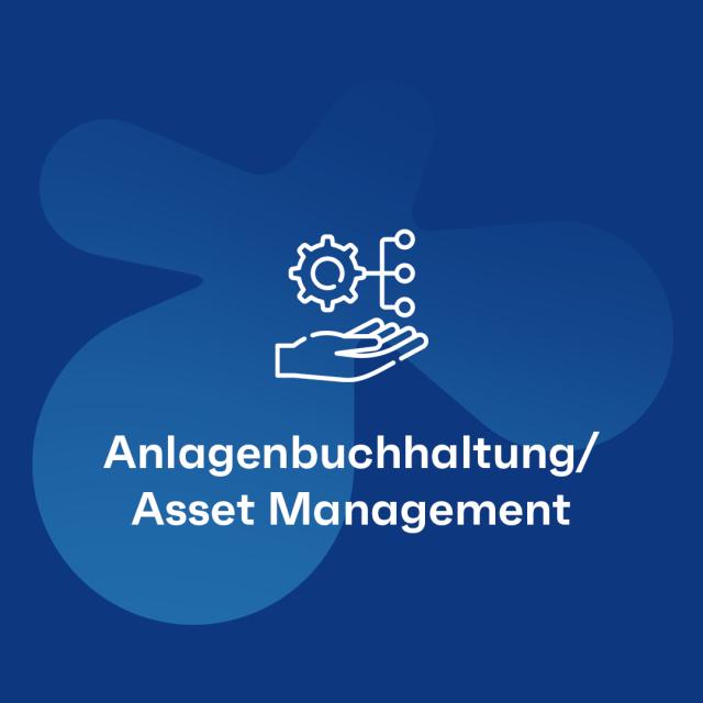 Anlagenbuchhaltung/Asset Management