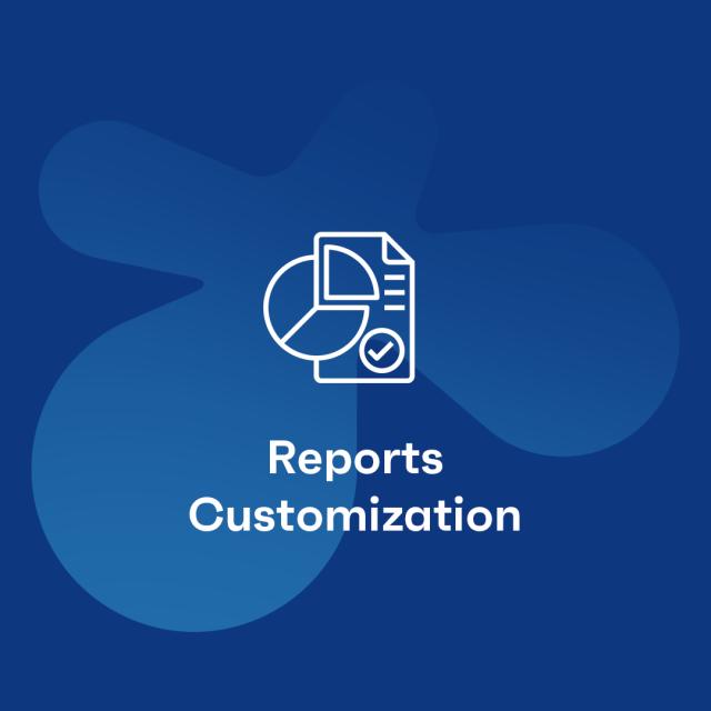 Reports Customization